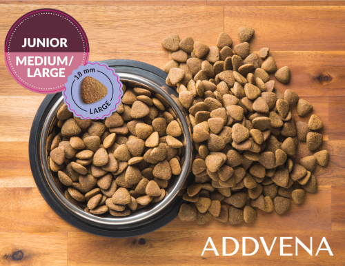 ADDVENA PON MEDIUMLARGE (2).png