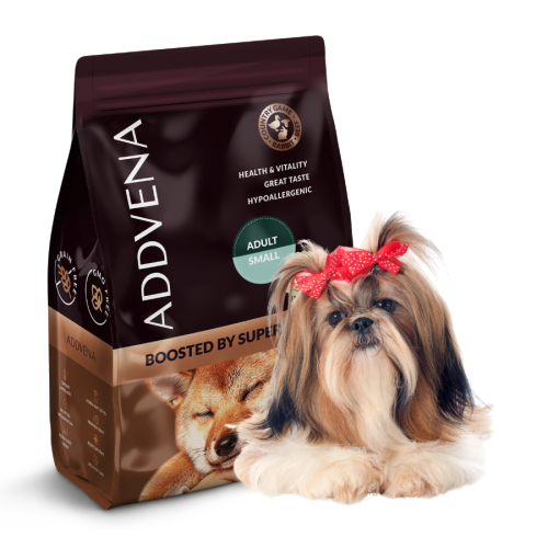 BBS SHIH TZU 2,5.png