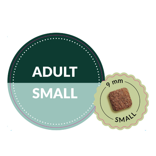 boosted small.png