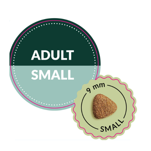 power adult small.png