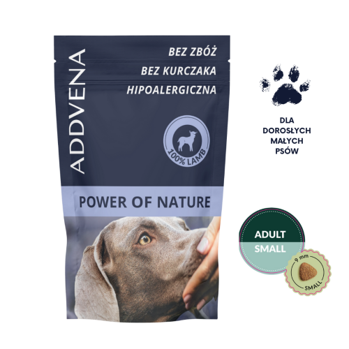 PON ADULT SMALL PRÓBKA.png