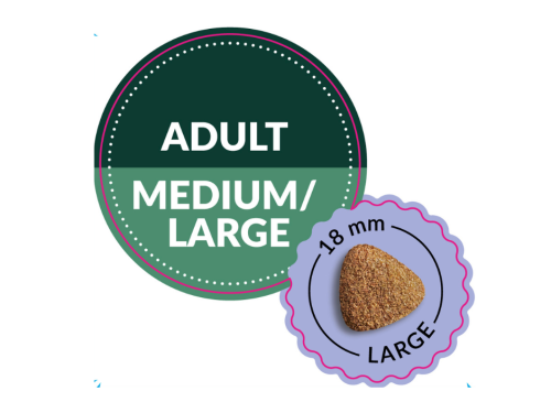 POWER ADULT MEDIUM.png