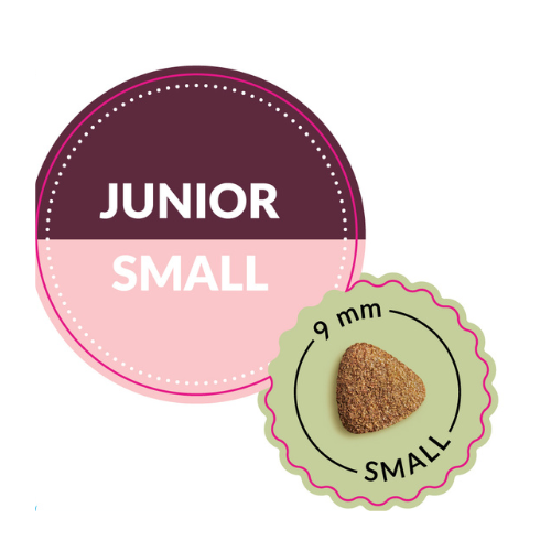 power junior small.png