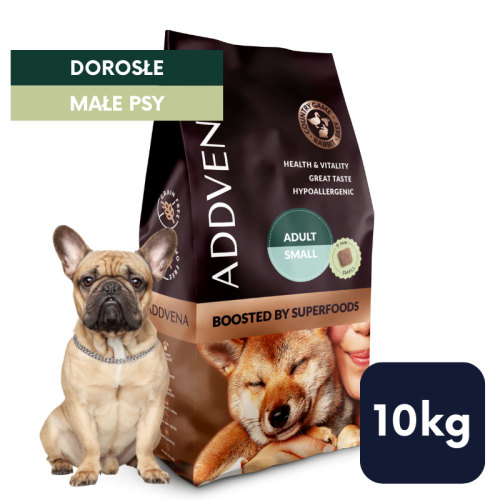 10kg BBS adult buldog.png