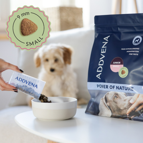 15.png