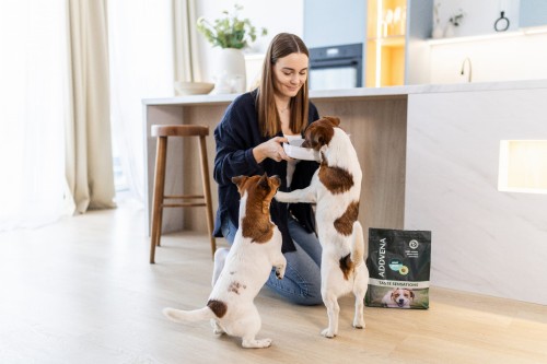 TS Adult Small 2,5kg - 3.jpg