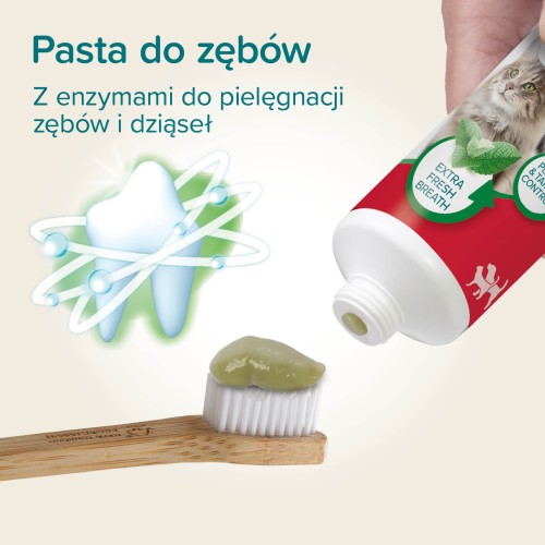 1000501_Ecommerce_Toothpaste Mint-Parsley_PL_20252.jpg