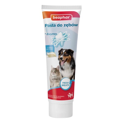 12978_Hero_Image_Ecommerce_Toothpaste Regular_PL_2025.jpg