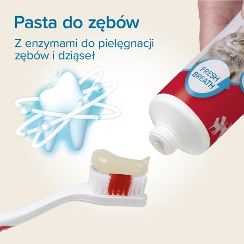 12978_Ecommerce_Toothpaste Regular_PL_20252.jpg