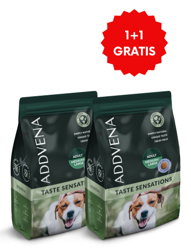 ADDVENATS ADULT large 2,5+ 2,5.png
