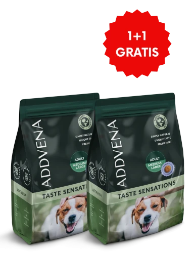 ADDVENATS ADULT large 2,5+ 2,5.png