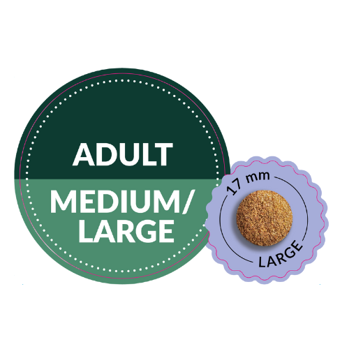 medium taste.png