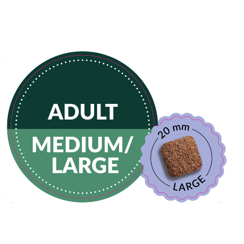 boosted large.png