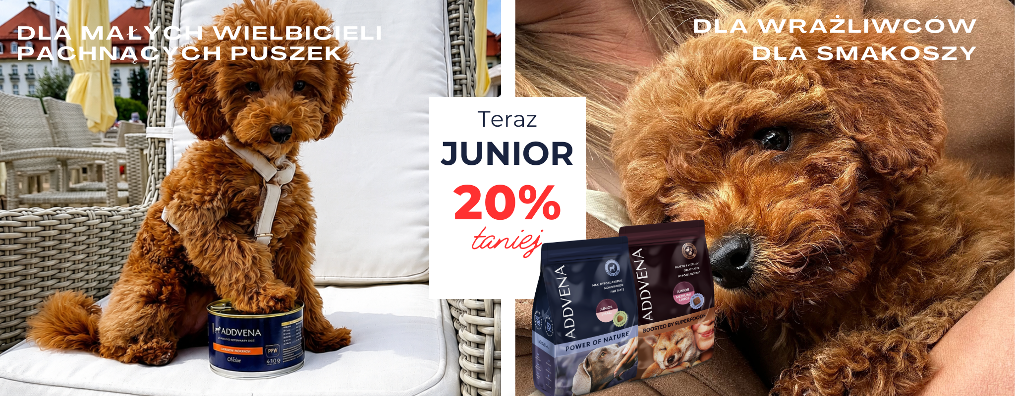 Junior 20% taniej wiosna 2026