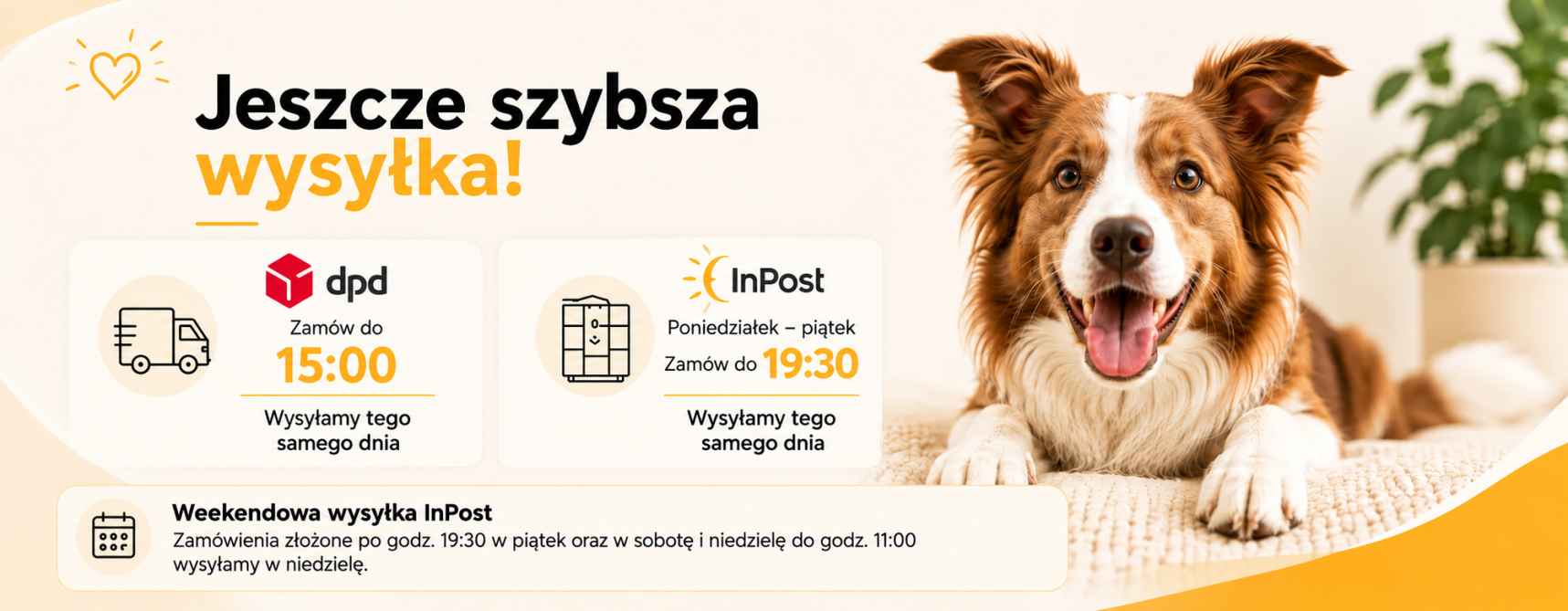 szybsze dostawy