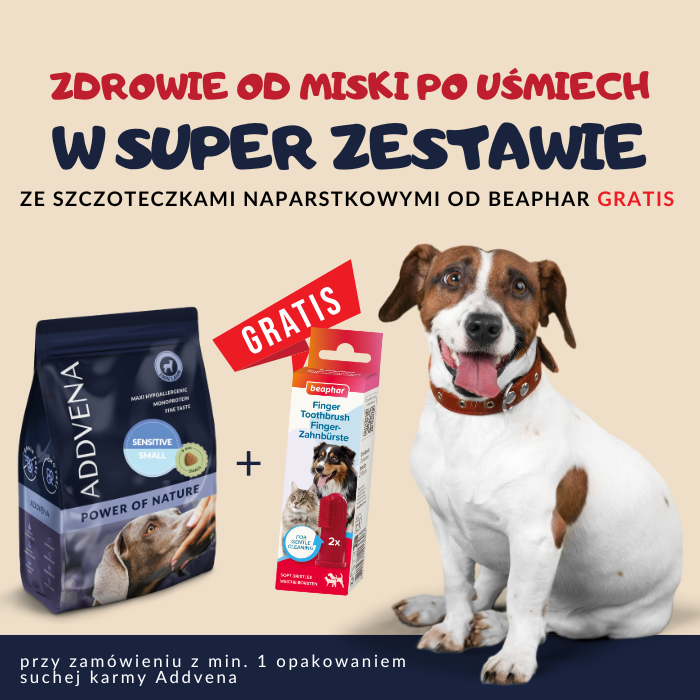 promocja z gratisem