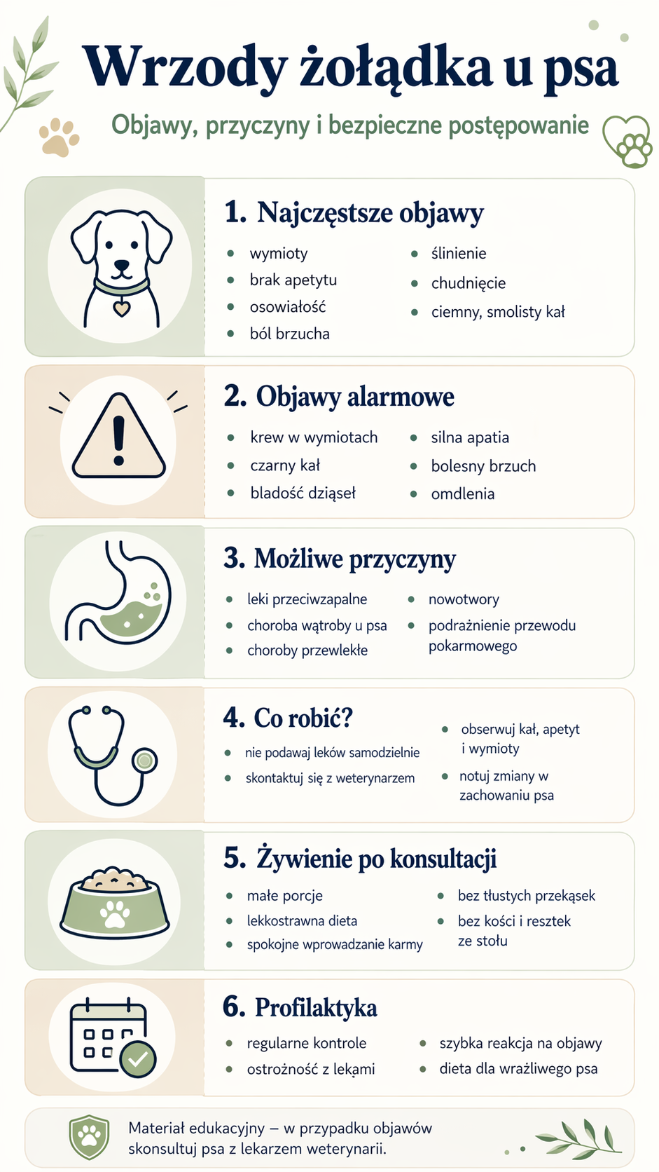 Wrzody żołądka u psa – objawy, przyczyny i bezpieczne postępowanie