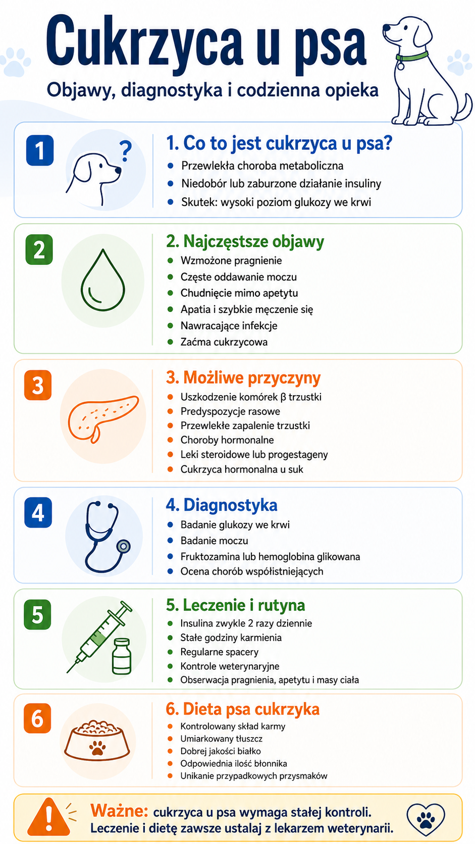 Cukrzyca u psa: objawy, diagnoza, leczenie - infografika