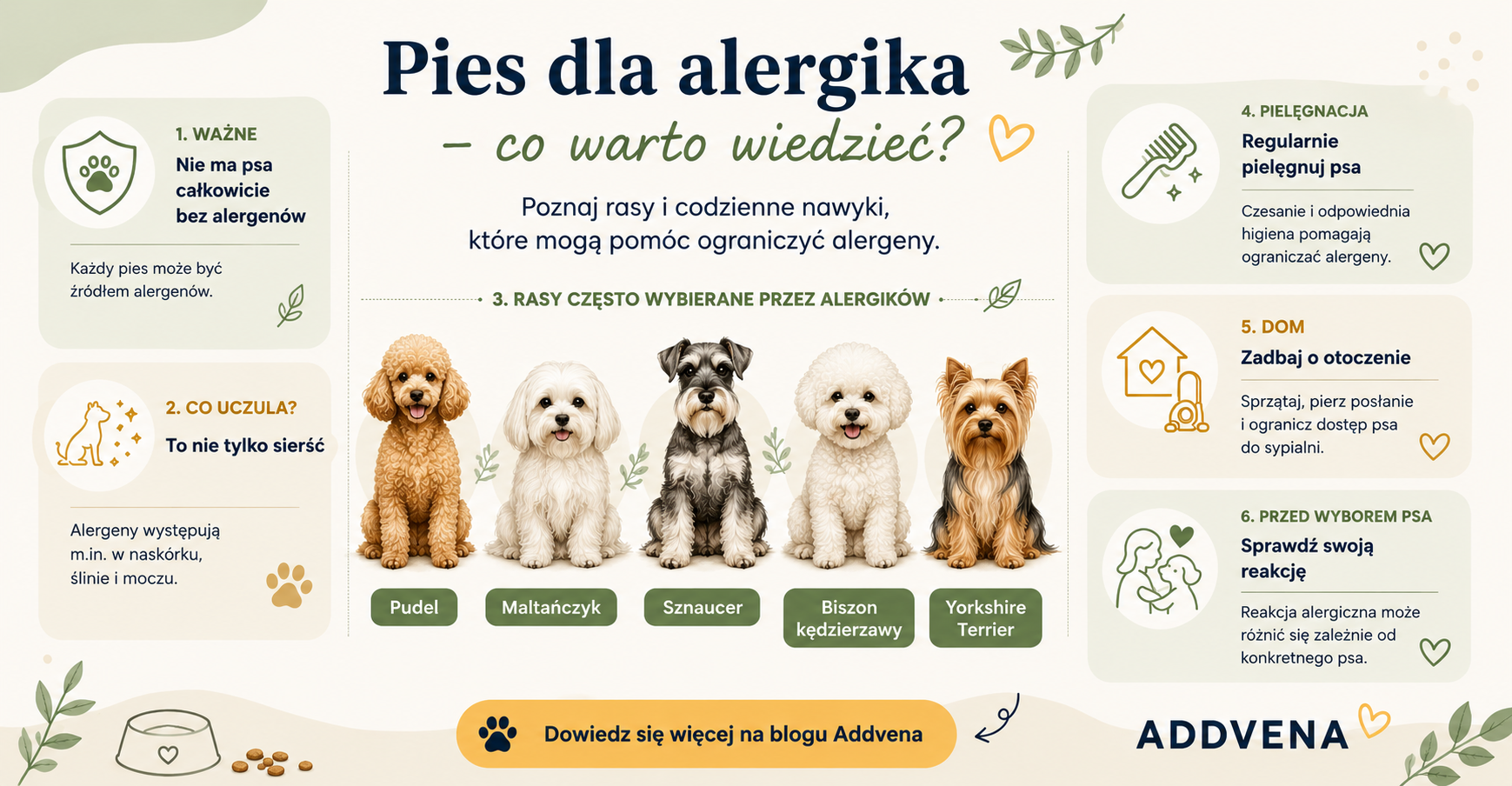 Pies dla alergika – rasy psów i sposoby ograniczania alergenów