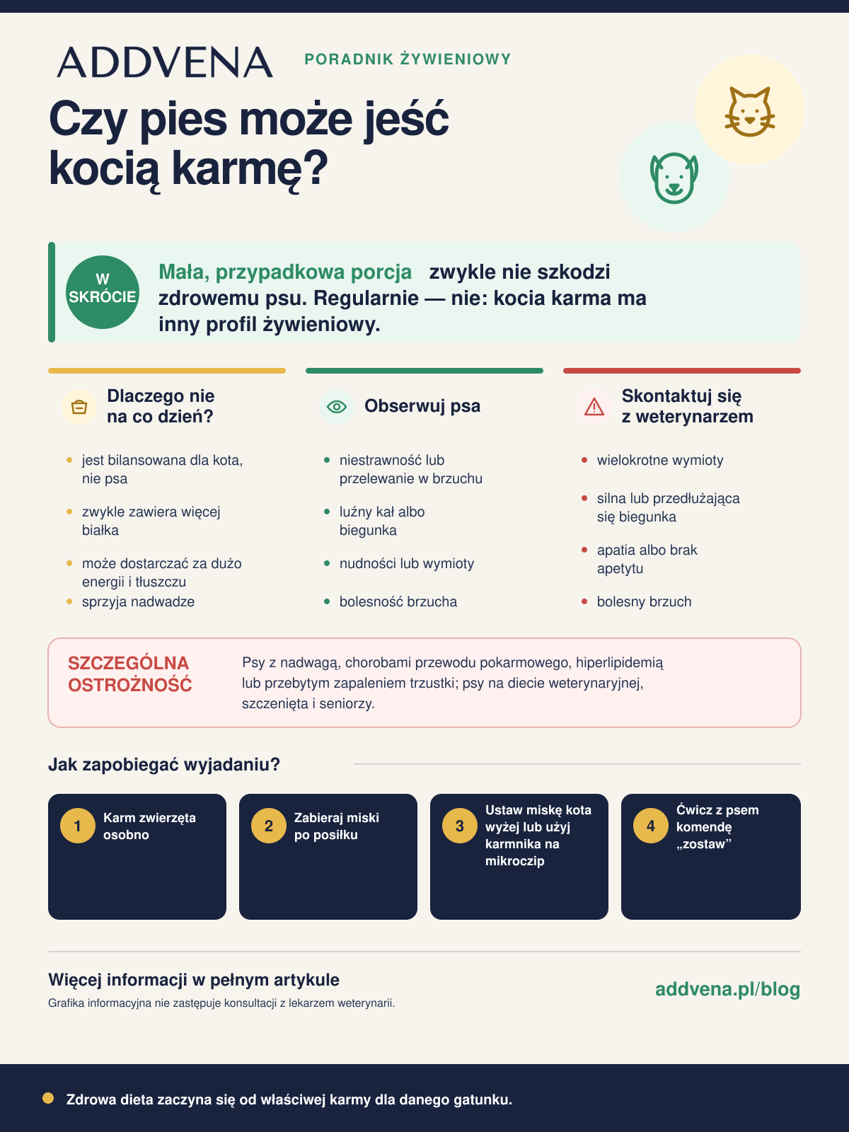 infografika-czy-pies-moze-jesc-karme-dla-kota