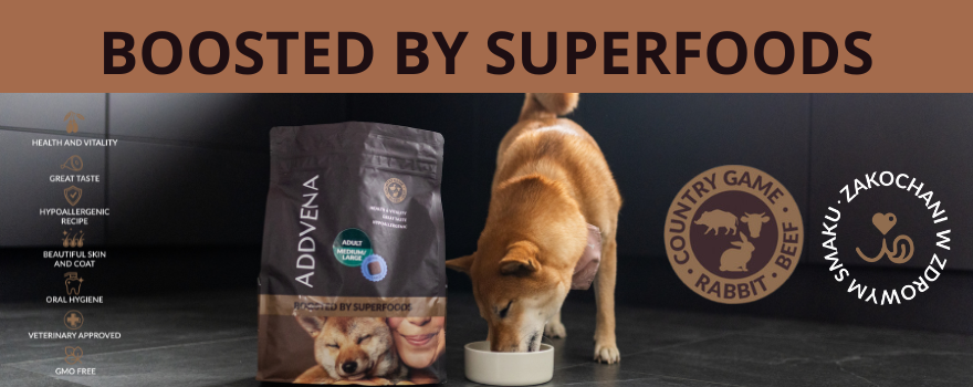ADDVENA Boosted by Superfoods – karma sucha dla psów