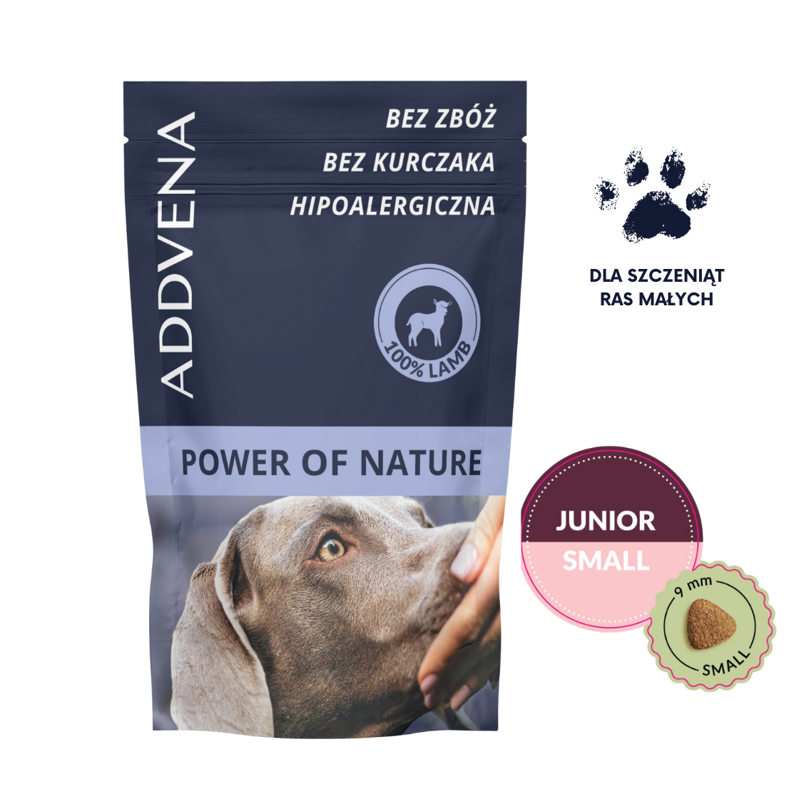 ADDVENA PON JUNIOR SMALL PRÓBKA.png